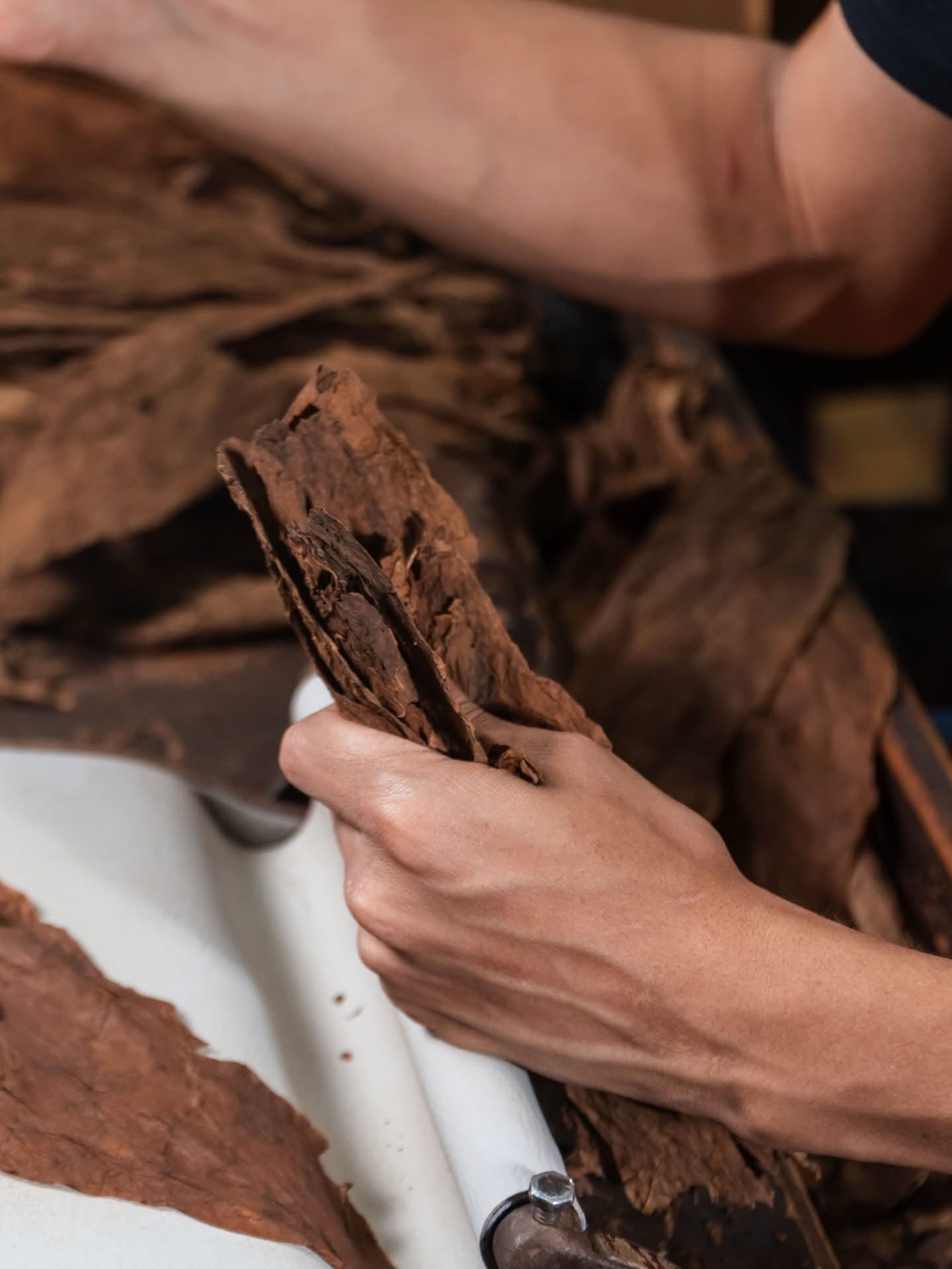Hand-rolled tobacco leaf wrap